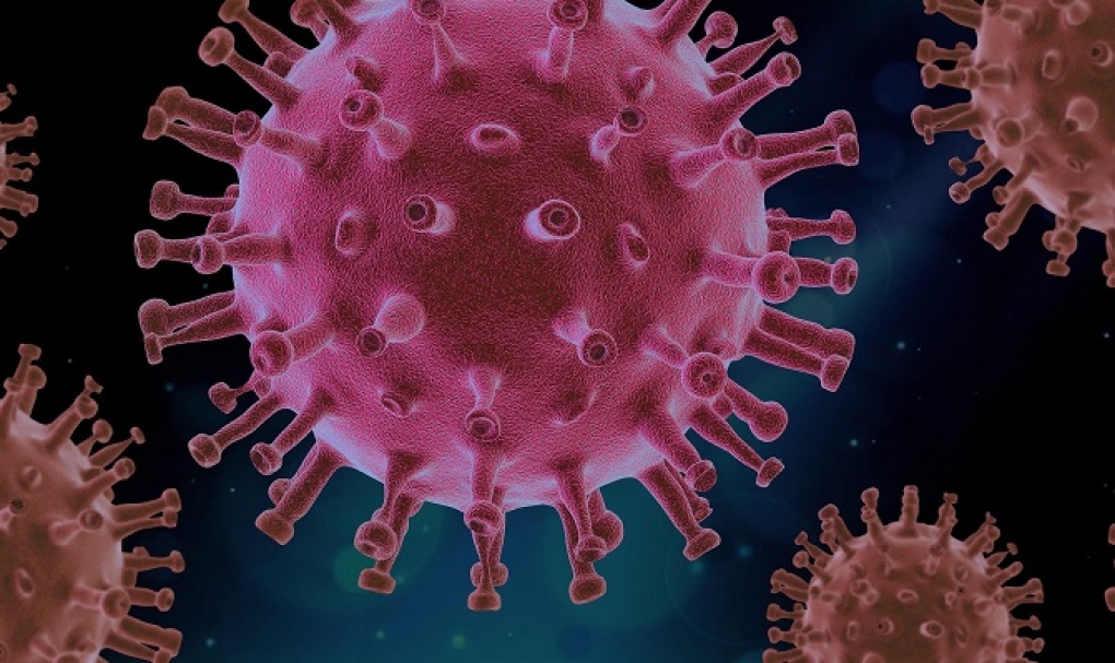 Detectan moléculas que frenan la entrada del coronavirus SARS-CoV-2 en las células