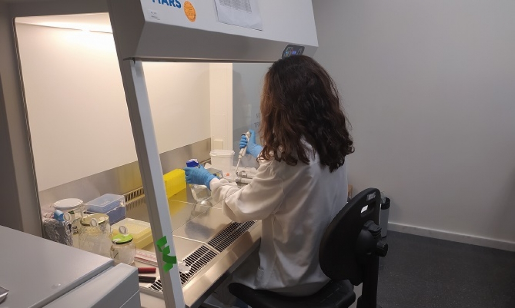 Neuromoduladores sensoriales para aliviar las molestias de enfermedades de la piel