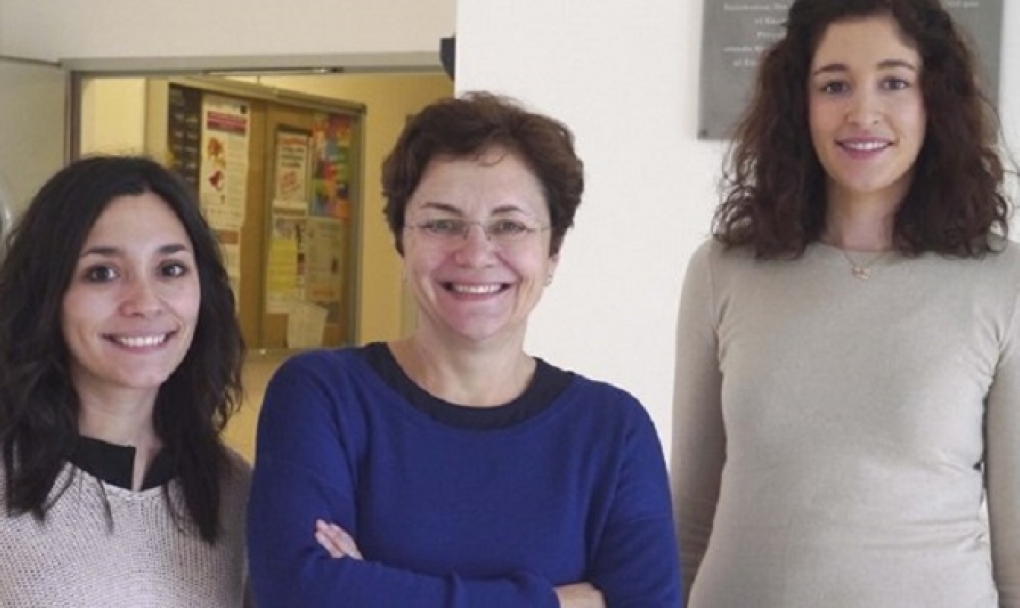 Un nuevo método permite descubrir cómo las células tumorales producen ribosomas para crecer más rápidamente