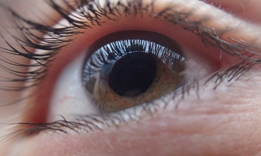 Los ópticos-optometristas de Castilla y León piden mayor conciencia social para la detección precoz del glaucoma