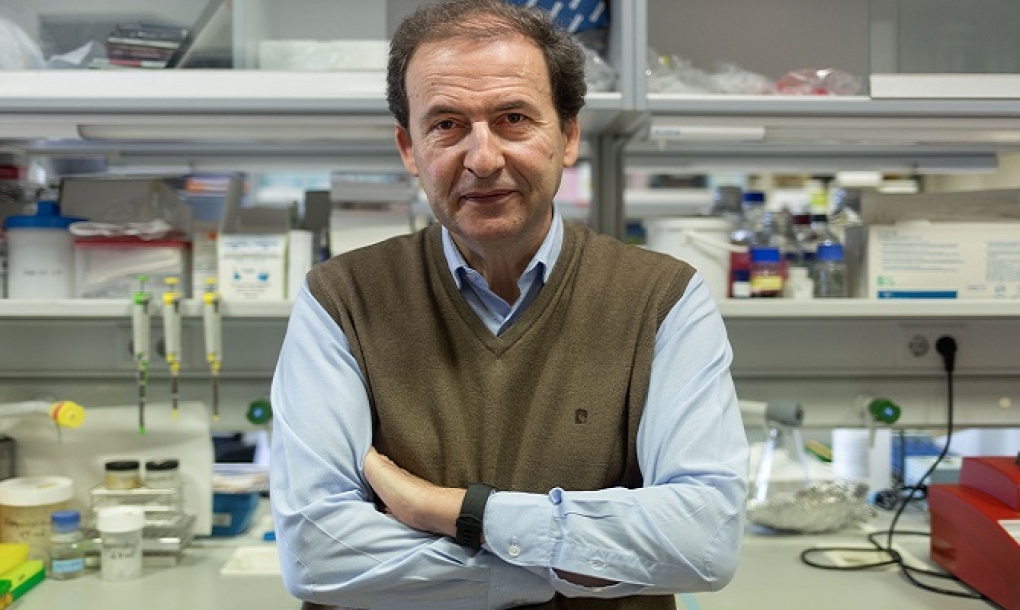 Alberto Orfao formará parte del comité de neoplasias mieloides de la Organización Mundial de la Salud