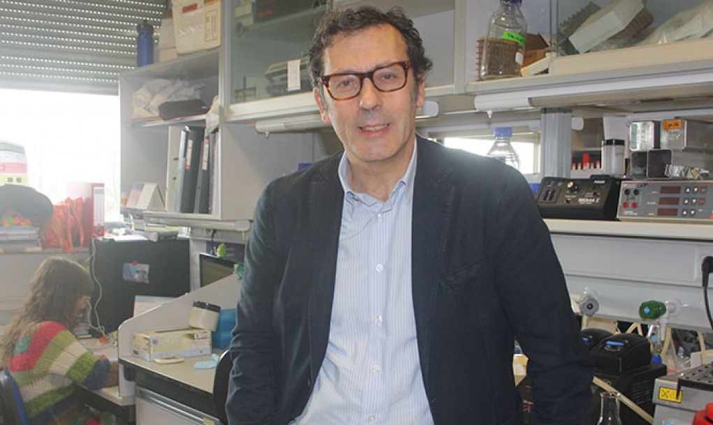 La inmunoterapia logra que los pacientes de cáncer de pulmón vivan más y mejor