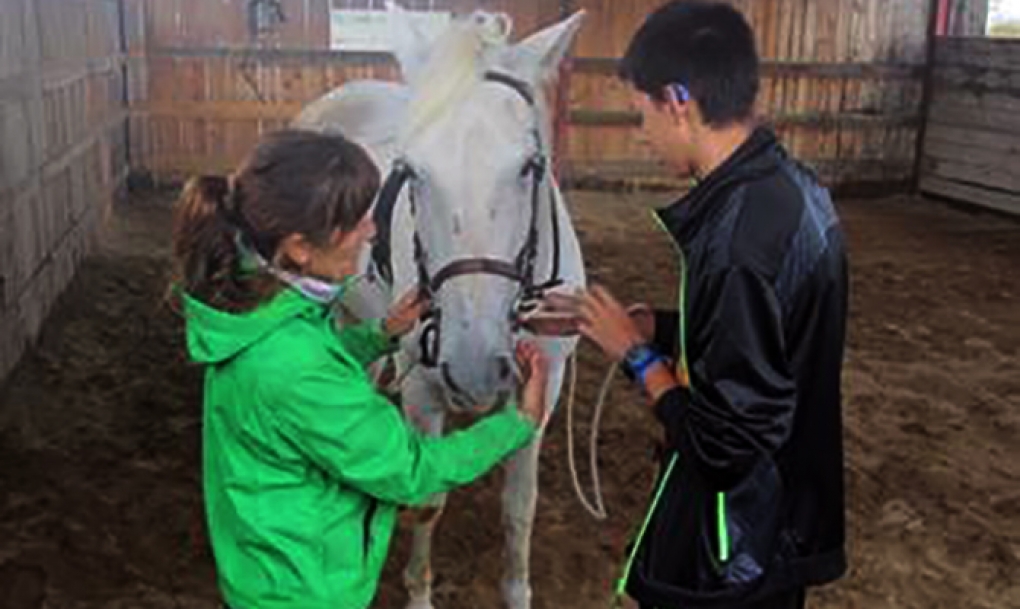 Un joven sordo convierte su afición a los caballos en la esperanza de un futuro laboral