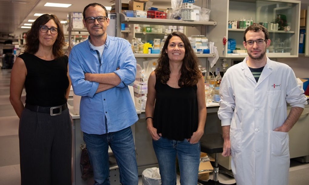 Descubierto un nuevo mecanismo de defensa celular frente a infecciones víricas y bacterianas