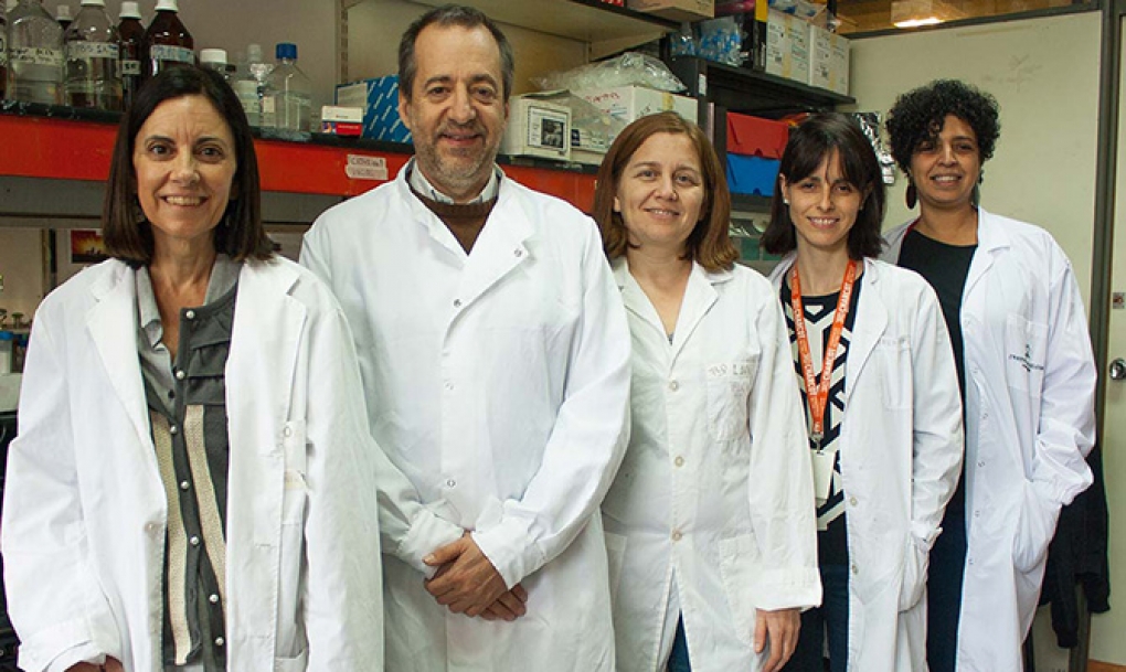 El ejercicio físico y otros estímulos podrían reducir el daño cerebral en la esclerosis múltiple