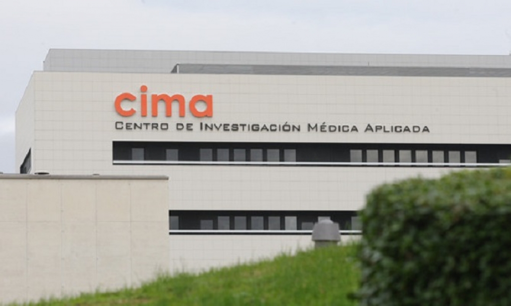 Descubierta una nueva vía para frenar la metástasis en cáncer de pulmón