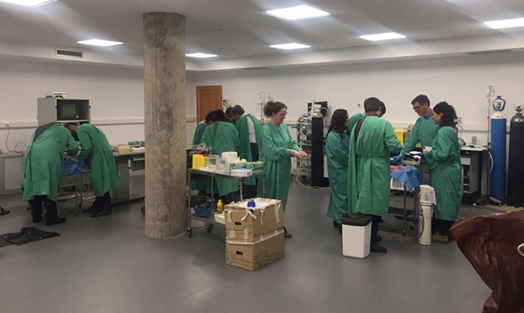 El hospital de Salamanca afronta meses «de extrema complejidad» para encajar las 207 plazas del concurso de traslados