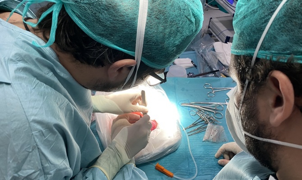 Más de 200 profesionales sanitarios de 17 países de Latinoamérica se forman en donación de órganos gracias al modelo español
