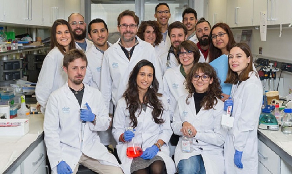 Un estudio descubre cómo llevar la inmunoterapia “a domicilio” en cáncer de mama