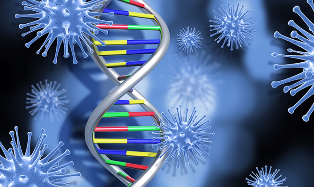Nuevas pistas sobre el daño en el ADN que provoca cáncer