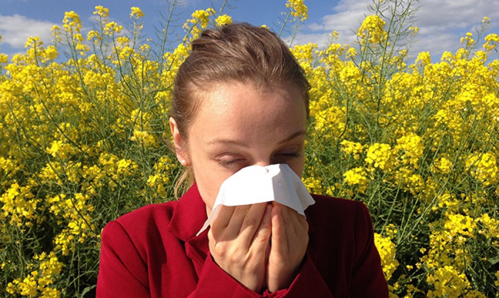 Andalucía y Extremadura, las más afectadas este año por la alergia al polen