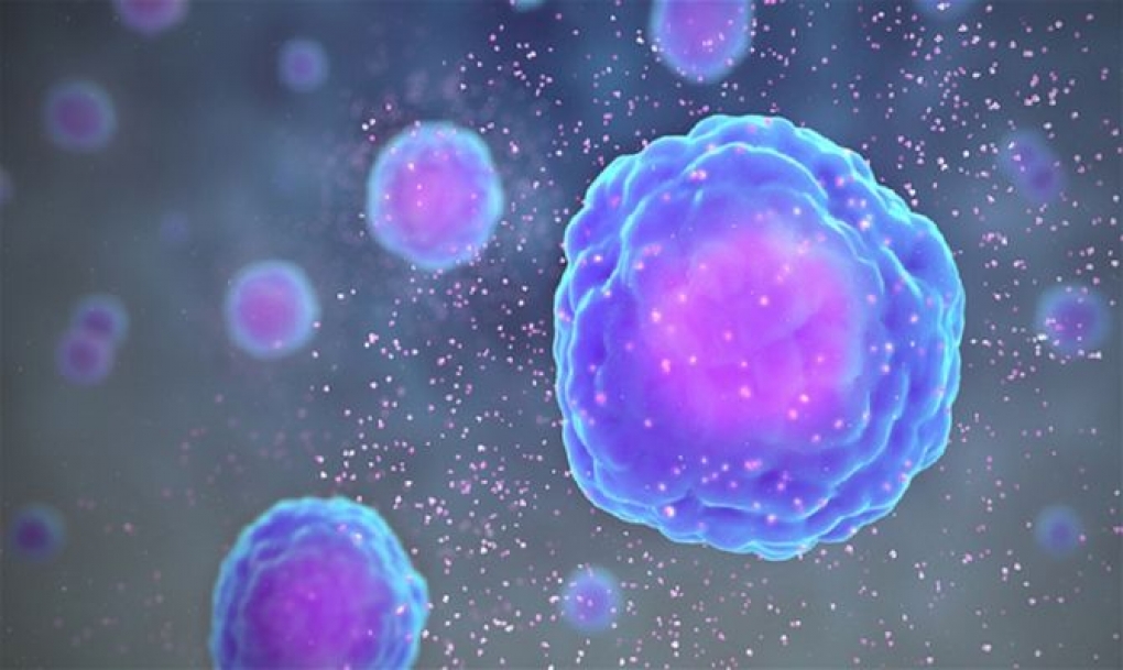 Una plataforma celular estudiará cómo el SARS-CoV-2 causa la inflamación de los tejidos y la muerte de las células