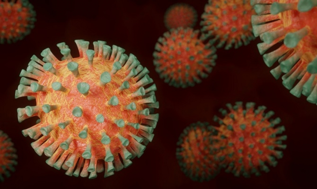 Parásitos del coronavirus para combatirlo