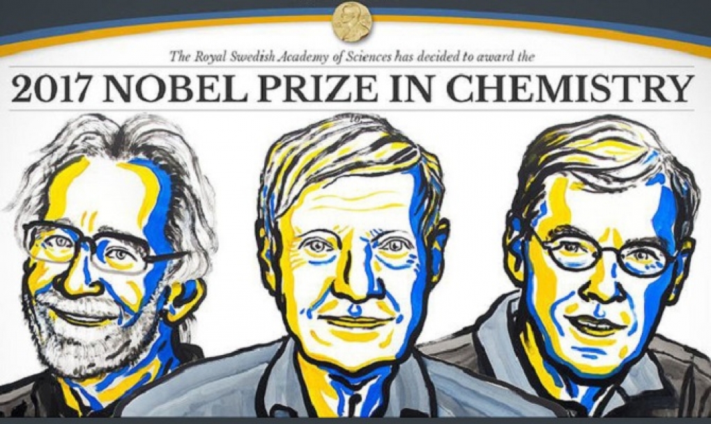 Nobel de Química para los científicos que retratan las moléculas de la vida