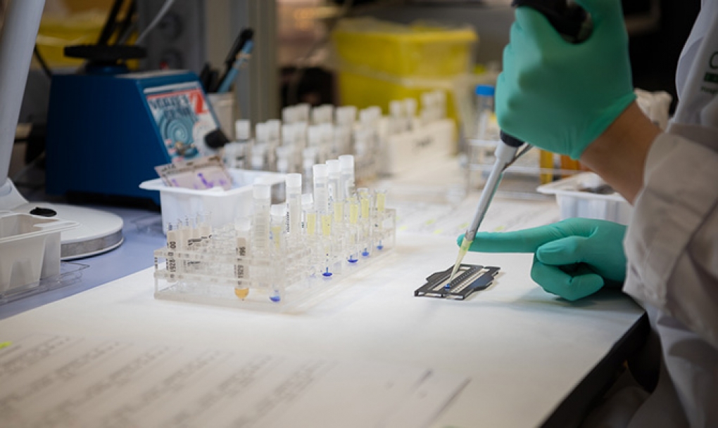 Los anticuerpos frente al SARS-CoV-2 se mantienen estables o incluso aumentan siete meses después de la infección