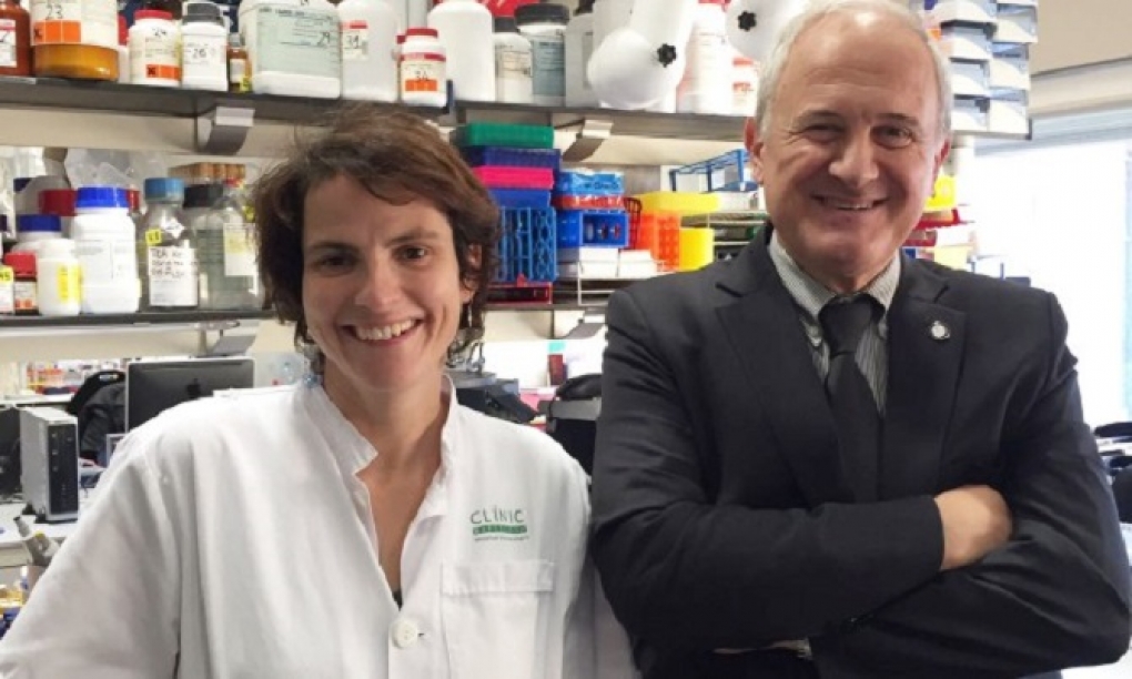 Demuestran que implantar un programa de cribado en Atención Primaria para detectar la fibrosis hepática es rentable