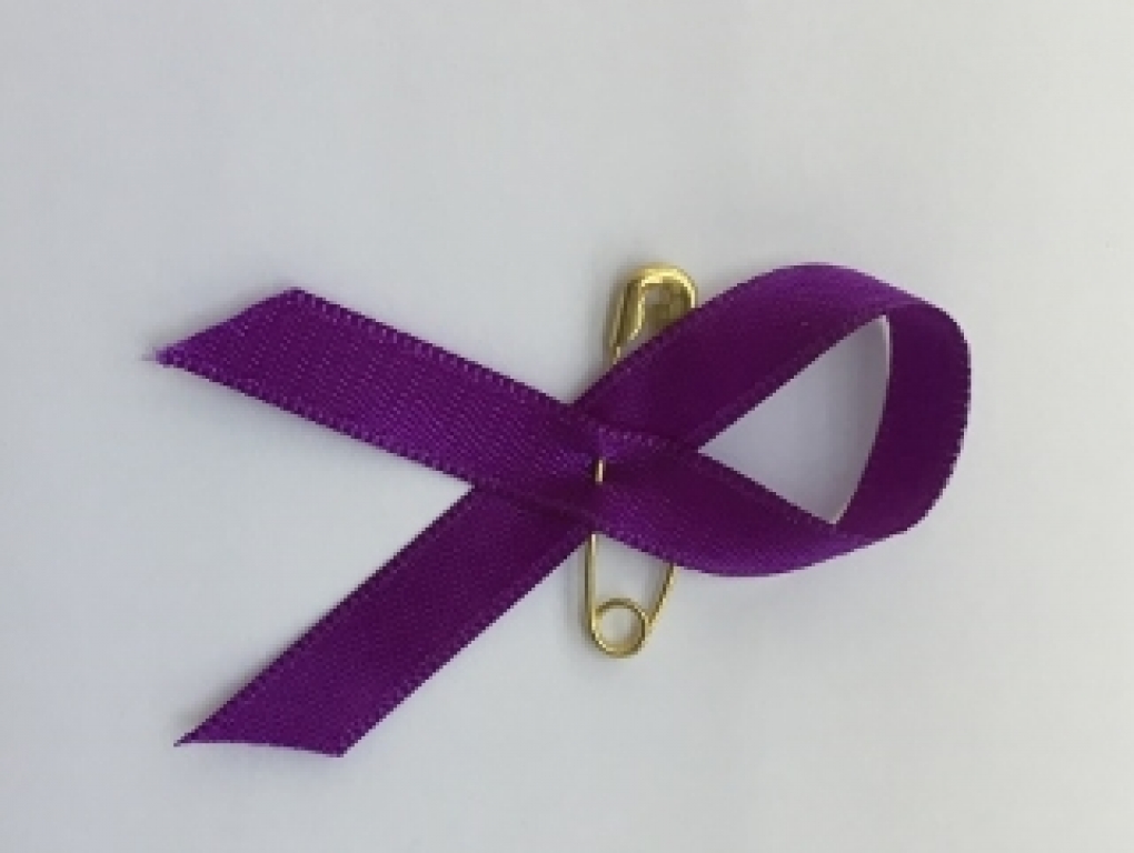 Manifiesto de CEMUDIS con motivo del Día Internacional de la Eliminación de la Violencia hacia las Mujeres