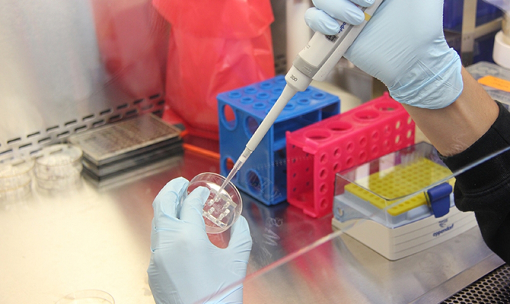 La industria farmacéutica tiene casi 300 terapias génicas y celulares en fase de investigación y desarrollo