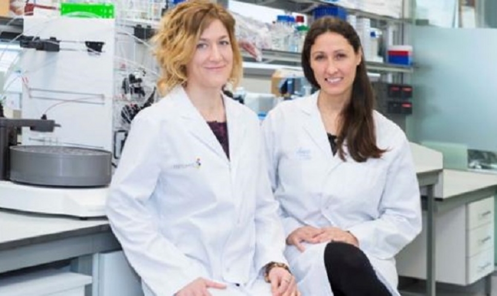 La miniproteína inhibidora de Myc, un gen clave en el desarrollo de la mayoría de los tumores, entra en la recta final hacia el ensayo clínico