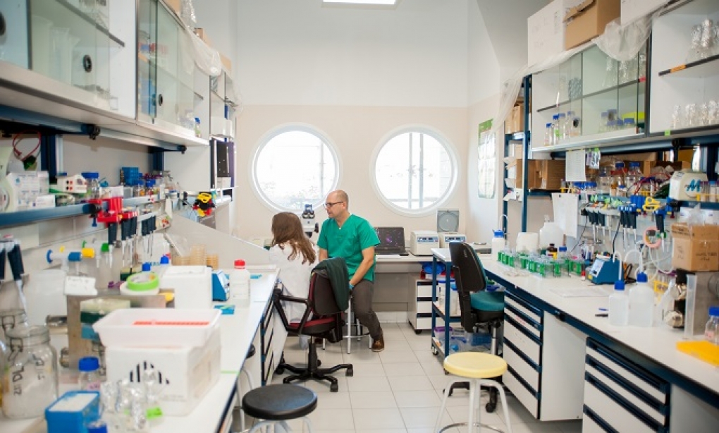 Se estrecha el cerco a las superbacterias