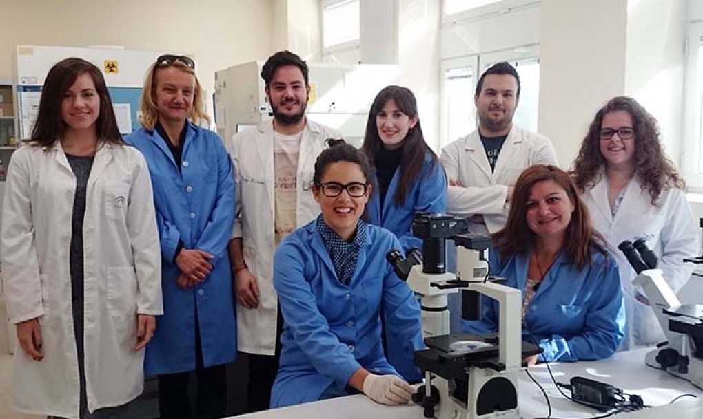 Un gen bloquea el proceso de eliminación de residuos en las neuronas implicado en el parkinson
