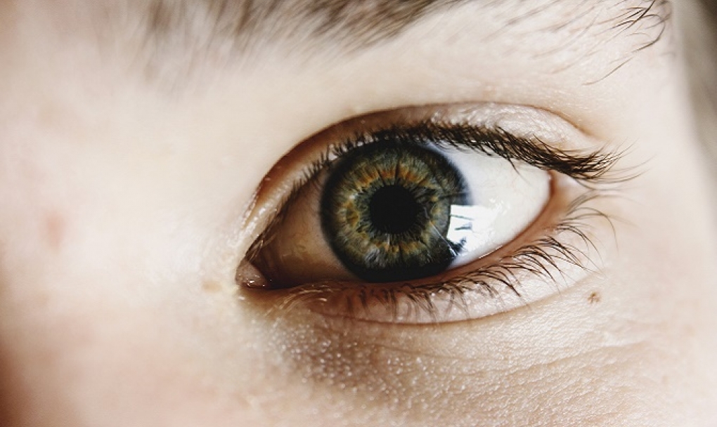 Unas 25.000 personas diagnosticadas de glaucoma podrían sufrir ceguera total
