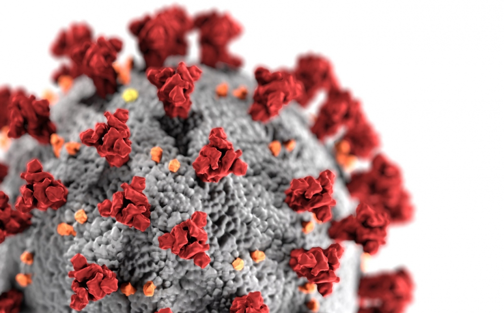 Una nueva mutación del SARS-CoV-2 surgió en España en verano y se extendió por Europa