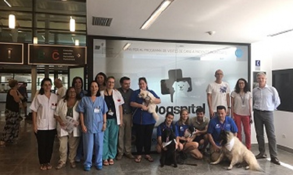Primera visita de un perro a su dueño ingresado en el Hospital de Ibiza gracias a la iniciativa pionera Dogspital