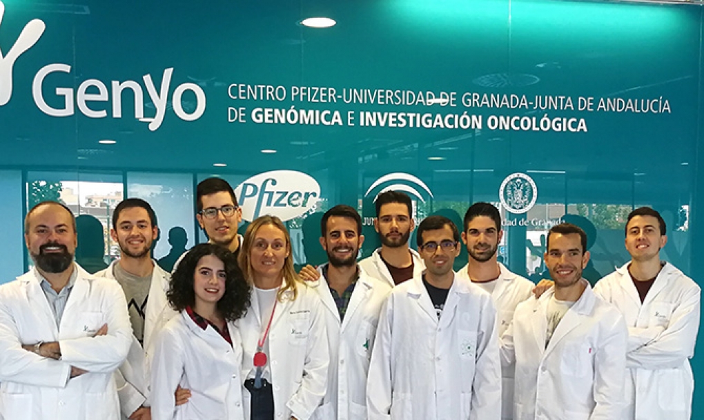 Desvelan el papel clave de una proteína en el desarrollo de cáncer de pulmón