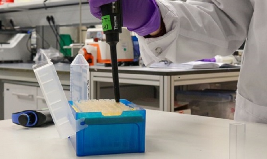 Una nueva infraestructura europea facilitará la transferencia de nanofármacos del laboratorio a la práctica clínica