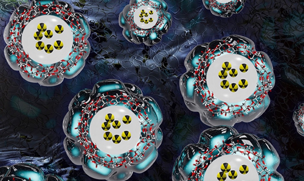 Un nuevo método basado en nanopartículas logra detectar aterosclerosis en ratones jóvenes