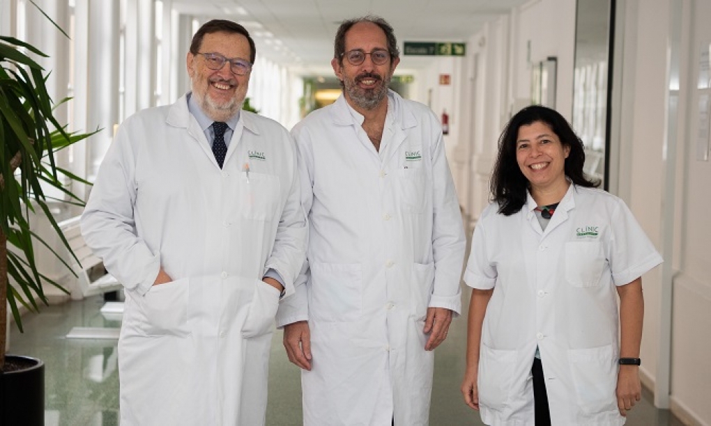 Guía actualizada para el óptimo tratamiento del cáncer de hígado