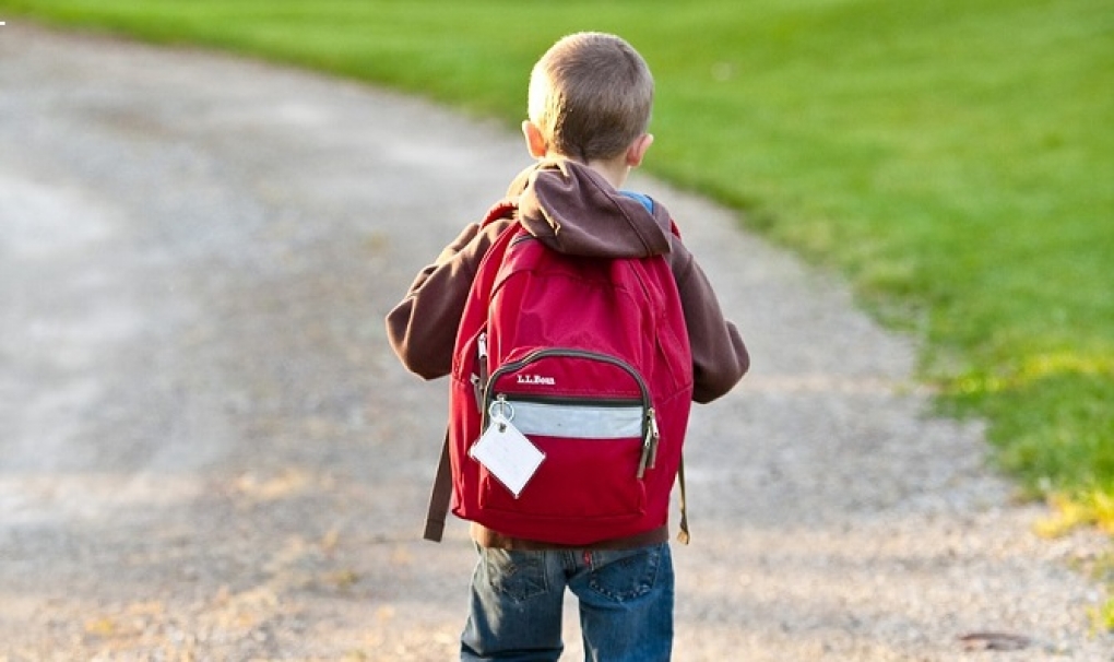 Una aplicación gratuita e interactiva enseña a los escolares a cuidar su espalda y a prevenir sus dolencias