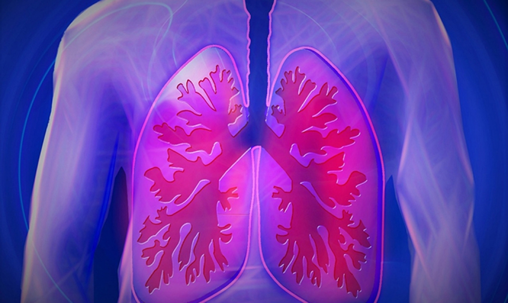 El INCLIVA coordina un estudio para la detección precoz de la enfermedad pulmonar obstructiva crónica (EPOC)