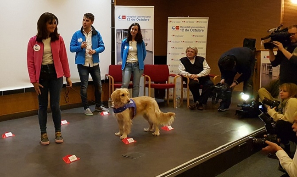 El hospital 12 de Octubre muestra los beneficios de la terapia con perros en pacientes alcohólicos