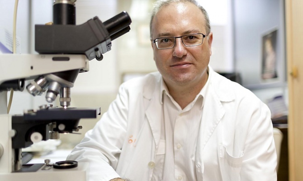 Expertos defienden el papel de la citología en el diagnóstico de las enfermedades hematológicas