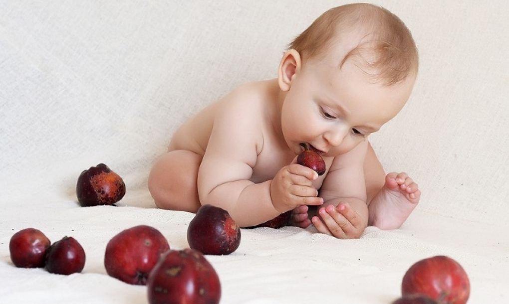Los frutos secos y semillas son la principal causa de atragantamiento en niños pequeños