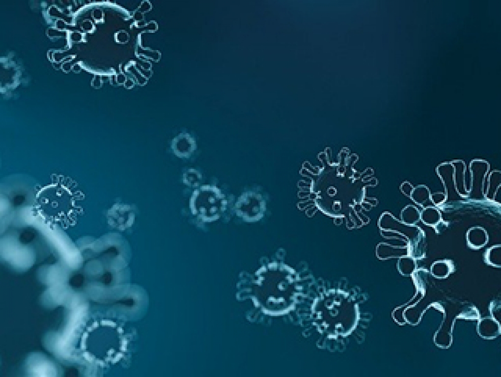 Consideraciones y medidas propuestas por el Colegio de Médicos para minimizar la epidemia de coronavirus en Salamanca