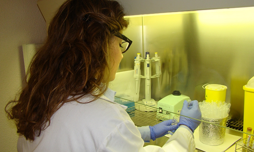 Diseñan una escala para predecir y reducir el riesgo de lesión renal en los pacientes sometidos a cirugía cardiaca