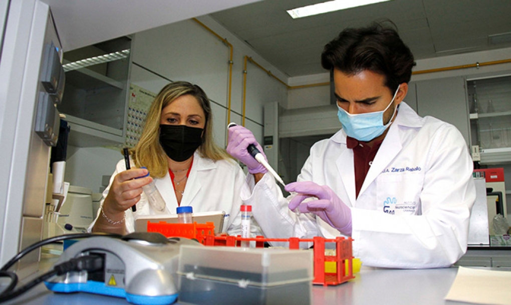 Estudian el papel de un gen en la coexistencia de la depresión y la obesidad