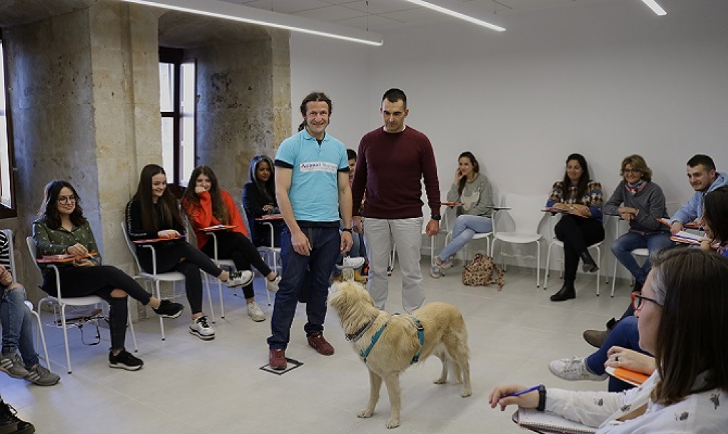Beneficios terapéuticos de la intervención con animales en hospitales, juzgados y servicios sociales