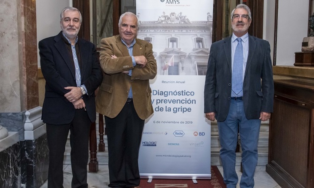 Más cerca de la vacuna universal contra la gripe, que afecta cada año a cerca de medio millón de personas en España