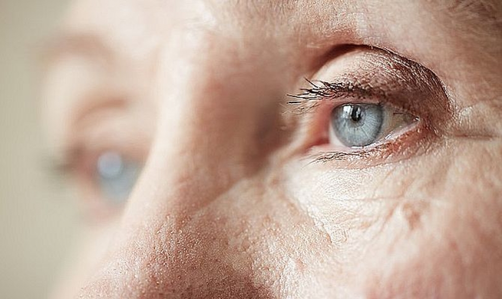 La rugosidad de las capas de la retina, nuevo biomarcador para el diagnóstico precoz del alzhéimer