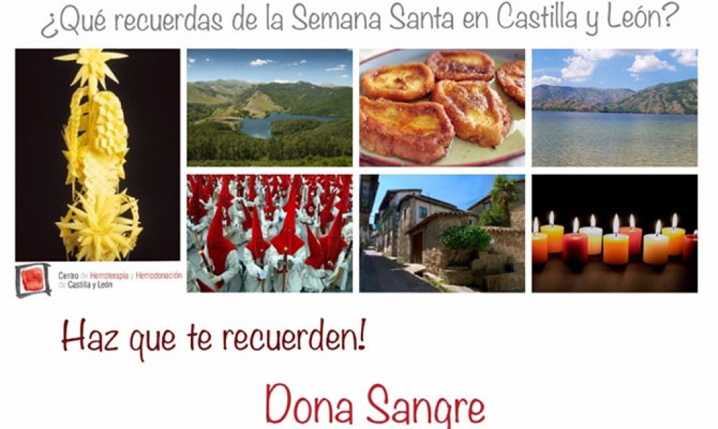 Hace falta una media de 450 donaciones al día para cubrir las necesidades de sangre de los complejos asistenciales