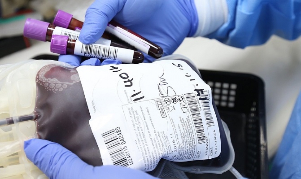 32 hospitales probarán el plasma hiperinmune para evitar el agravamiento en pacientes con COVID-19