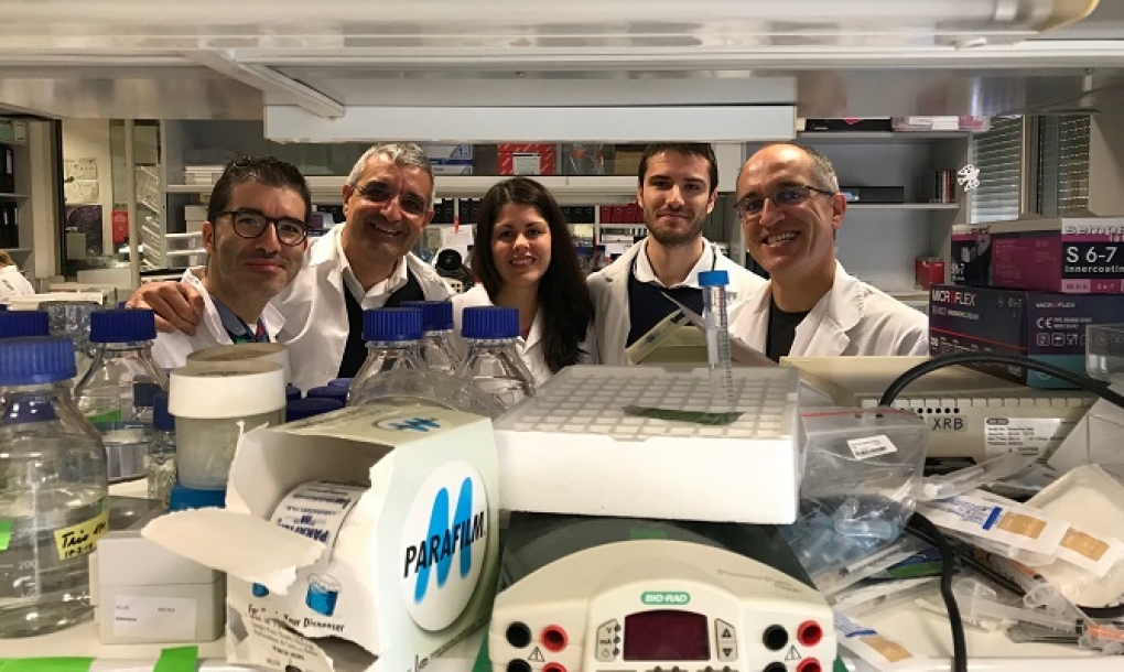 Identificado un nuevo mecanismo que frena el cáncer pediátrico más frecuente