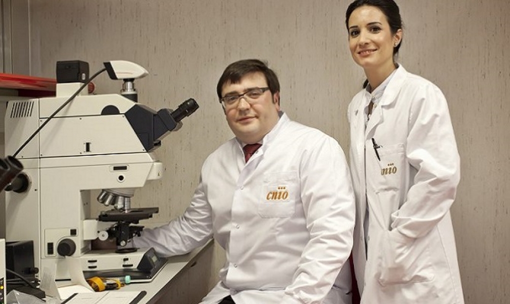 Confirmado el nexo entre el cáncer de próstata y el cáncer de mama hereditario