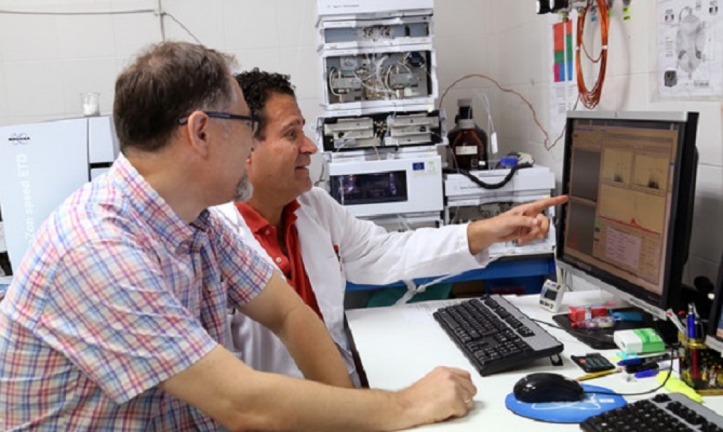 Identifican una nueva combinación de fármacos contra el cáncer de páncreas