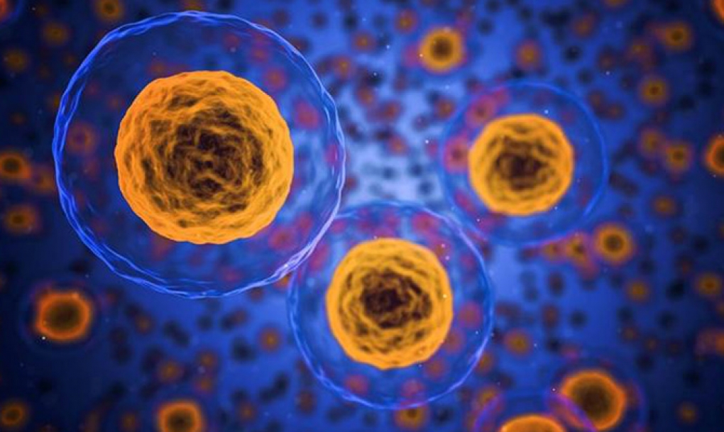 Descubren una nueva mutación que promueve el desarrollo de tumores hematológicos