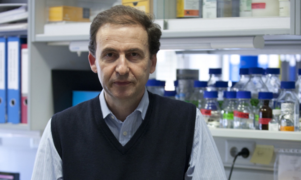 El Centro del Cáncer exporta a todo el mundo un test para hallar células malignas tras el tratamiento del mieloma